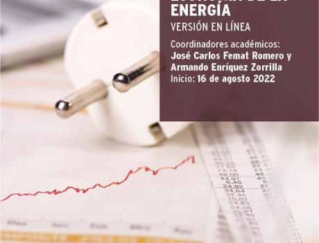 Diplomado en Economía de la Energía, Versión en Línea Diplomado en Economía de la Energía, Versión en Línea