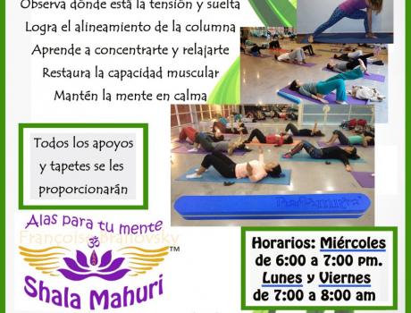 Clases de Hatha yoga restaurativo, miércoles con Francoise Brailovsky Clases de Hatha yoga restaurativo, miércoles con Francoise Brailovsky