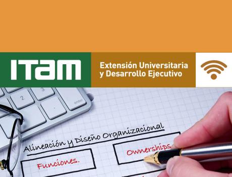 Poster Curso: Alineación y Diseño Organizacional (Versión en Línea)