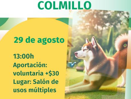 Becatlón 2024: Yoga con Colmillo