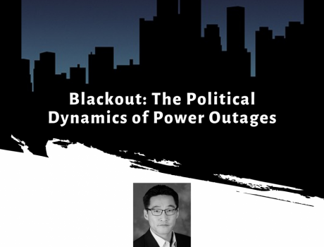 Blackout: The Political Dynamics of Power Outages