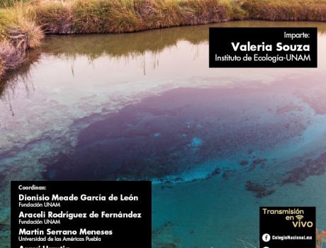 Póster Cuatro Ciénagas