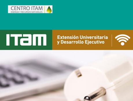 Diplomado en Economía de la energía - versión en línea