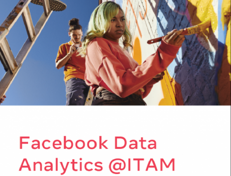 Facebook Data Analytics @ITAM