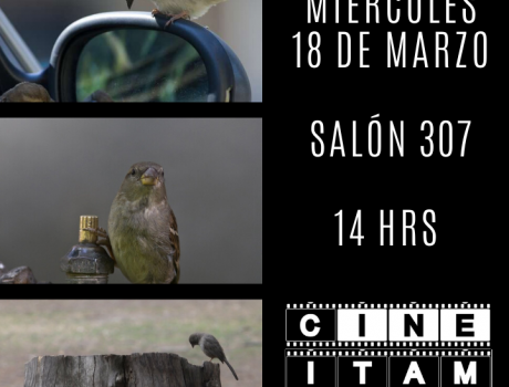 Póster del diálogo con el fotodocumentalista: Pablo Salazar Solís 