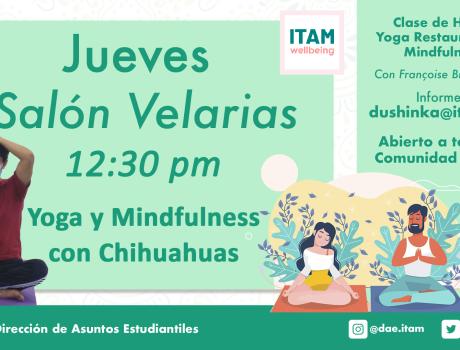 Clase especial de yoga y mindfulness con Chihuahuas