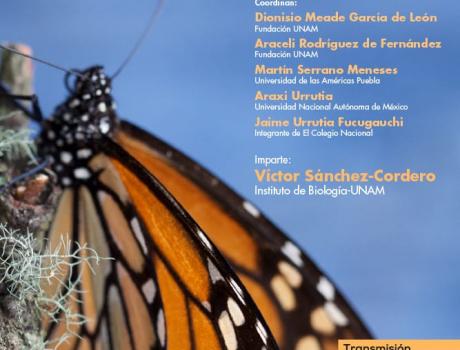 Póster CICLO Conferencia sobre la conservación del fenómeno migratorio de la mariposa monarca