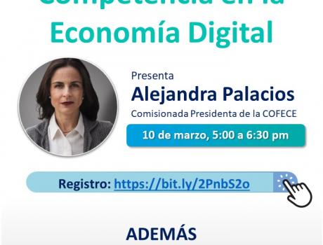 Competencia en la Economía Digital