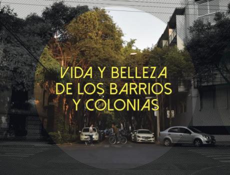 IX Seminario de estética y ciudad: vida y belleza de barrios y colonias