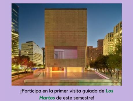 Visita Guiada Museo Jumex