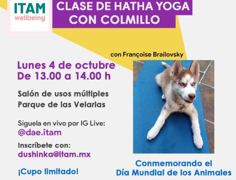 Clase de Hatha Yoga con Colmillo para conmemorar el Día Mundial de los Animales
