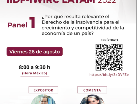 Póster Derecho: Panel