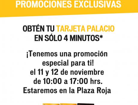 Tarjeta Palacio de Hierro 