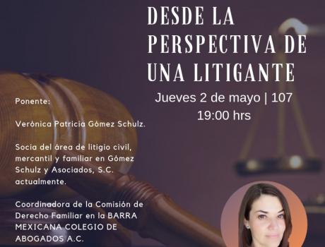 Poder Judicial desde la perspectiva de una litigante 