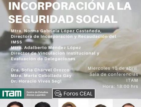 Las trabajadoras del hogar y su incorporación a la seguridad social