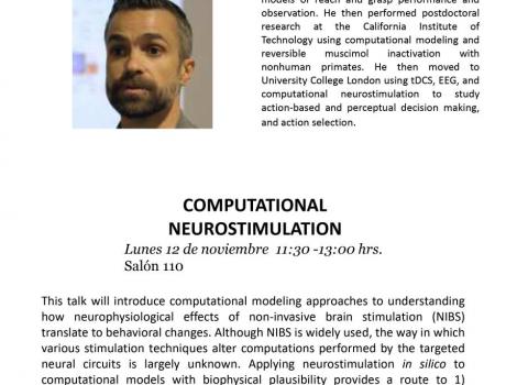 Computational Neurostimulation