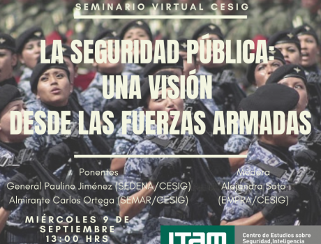 Póster La seguridad pública: una visión desde las fuerzas armadas