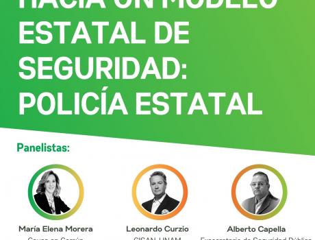 Seminario virtual CESIG. Hacia un modelo estatal de seguridad: policía estatal