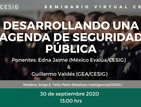 Póster Desarrollando una agenda de seguridad pública