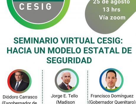 Seminario virtual CESIG. Hacia un modelo estatal de seguridad