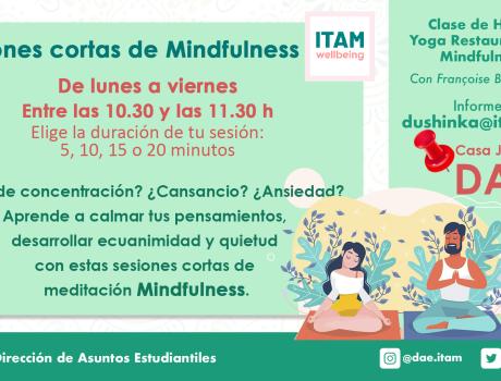 Sesiones cortas de mindfulness durante exámenes finales. Con Françoise Brailovsky