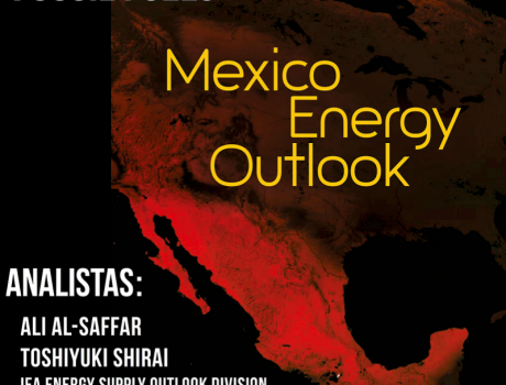 Workshop: Agencia Internacional de Energía