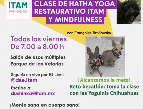 Becatlón, meta alcanzada. Reto: toma la clase de yoga 7:00 am con 2 Chihuahuas