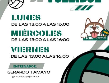 Entrenamientos de Voleibol